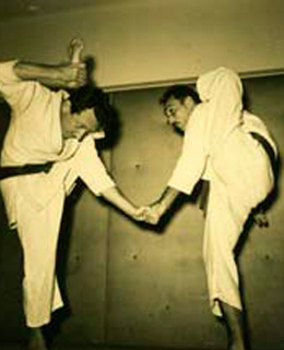 gracie_philosophy_carlos_and_helio